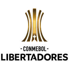 Conmebol Libertadores Bracket Bracketfights