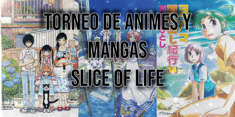 Torneo De Anime Y Manga Slice Of Life Bracket BracketFights