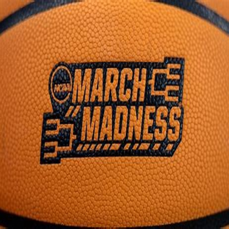 FAACTS 2024 NCAA March Mascot Madness Bracket BracketFights