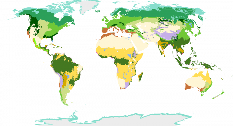 Nature Brackets Templates - BracketFights