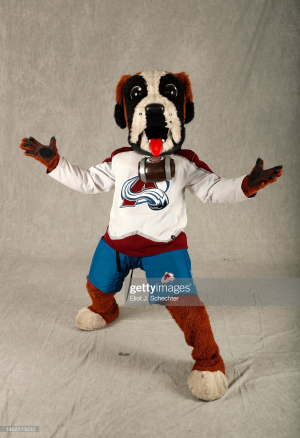 Bernie the Dog St. Bernard Colorado Avalanche Mascot Costume Animal